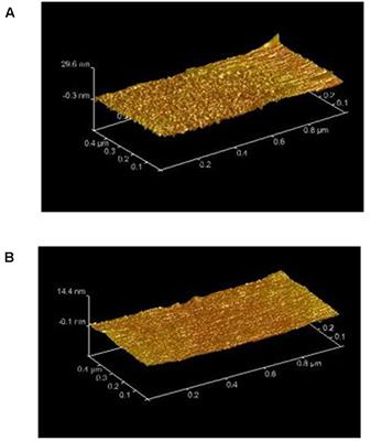 Phenotypic Heterogeneity in Attachment of Marine Bacteria toward Antifouling Copolymers Unraveled by AFM